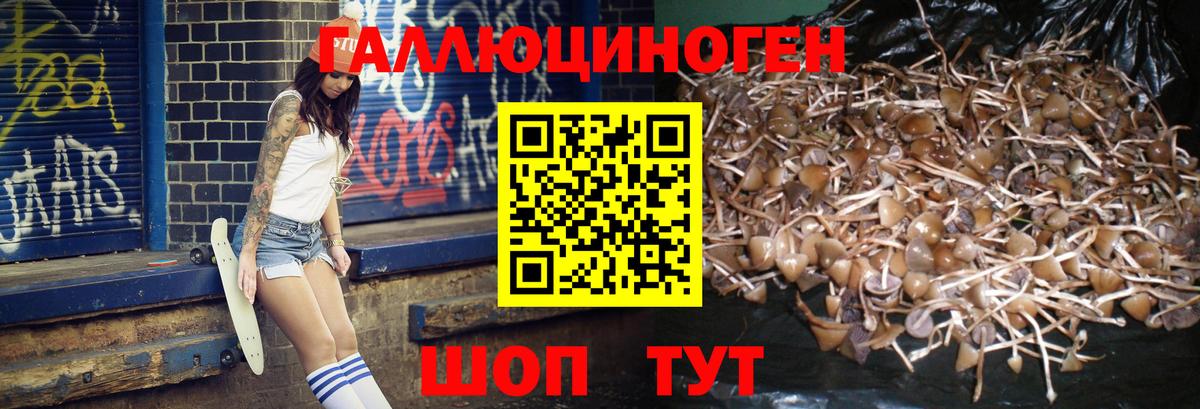 где продают   Галлюциногенные грибы прущие грибы  Псилоцибиновые грибы Psilocybine cubensis  Вход с VPN  Темрюк 